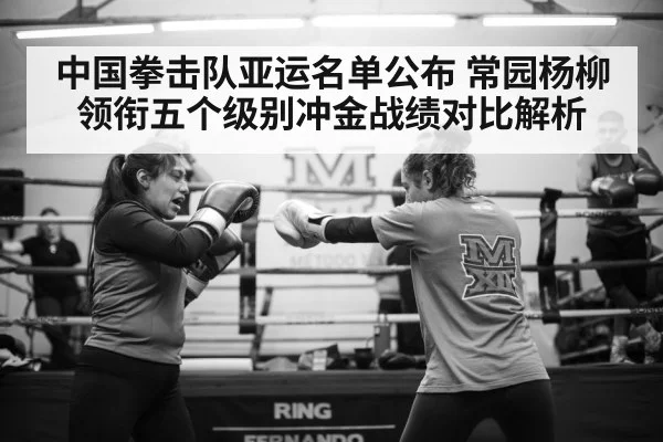 female boxer training