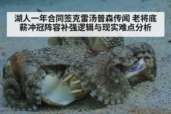 湖人一年合同签克雷汤普森传闻 老将底薪冲冠阵容补强逻辑与现实难点分析